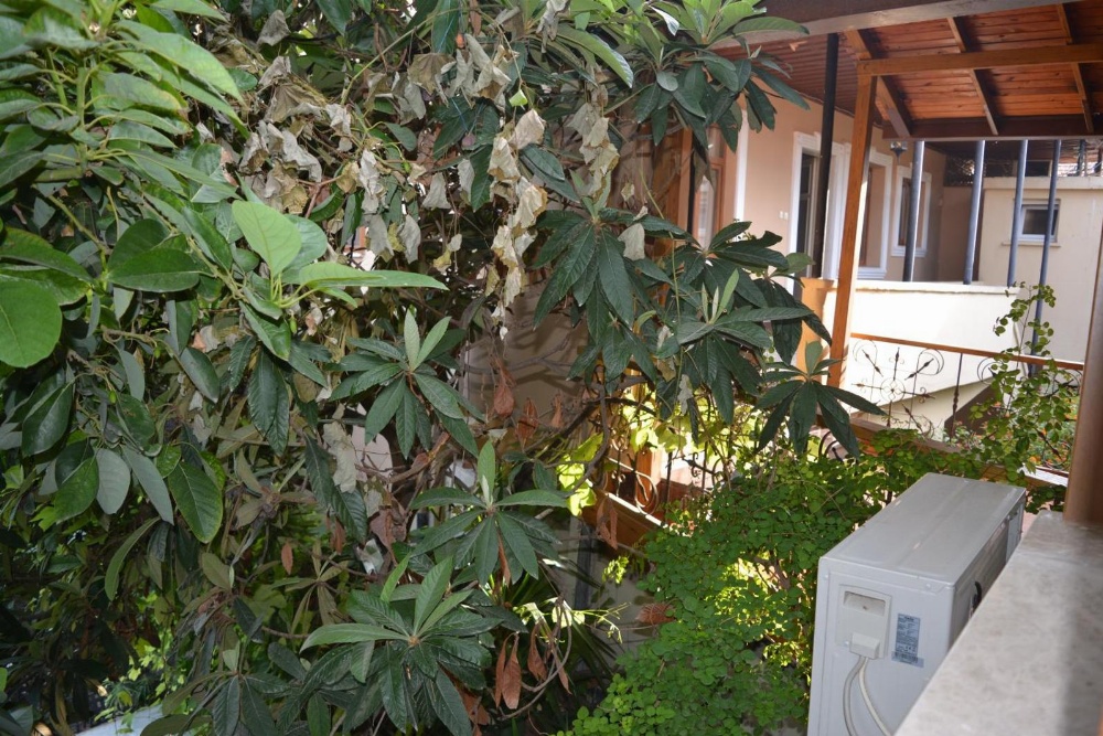 Osmanli Marco Pasha Hotel Main image